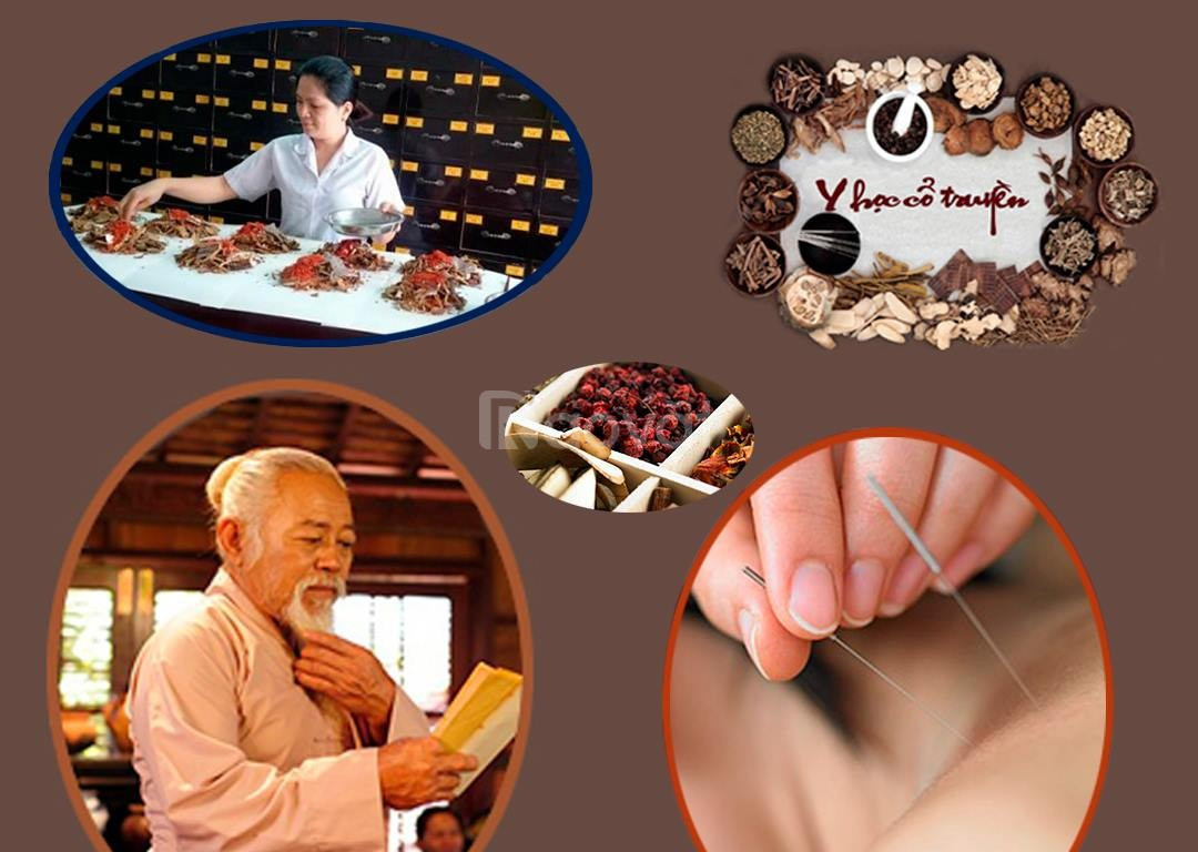 Đào tạo từ xa – Cao đẳng Phương Đông
